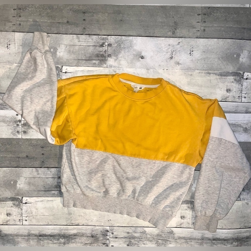 H&M Crop Top Sweatshirt